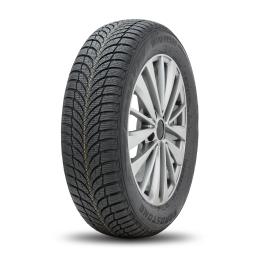 Roadstone Winguard SnowG WH2 215/65R16 98H